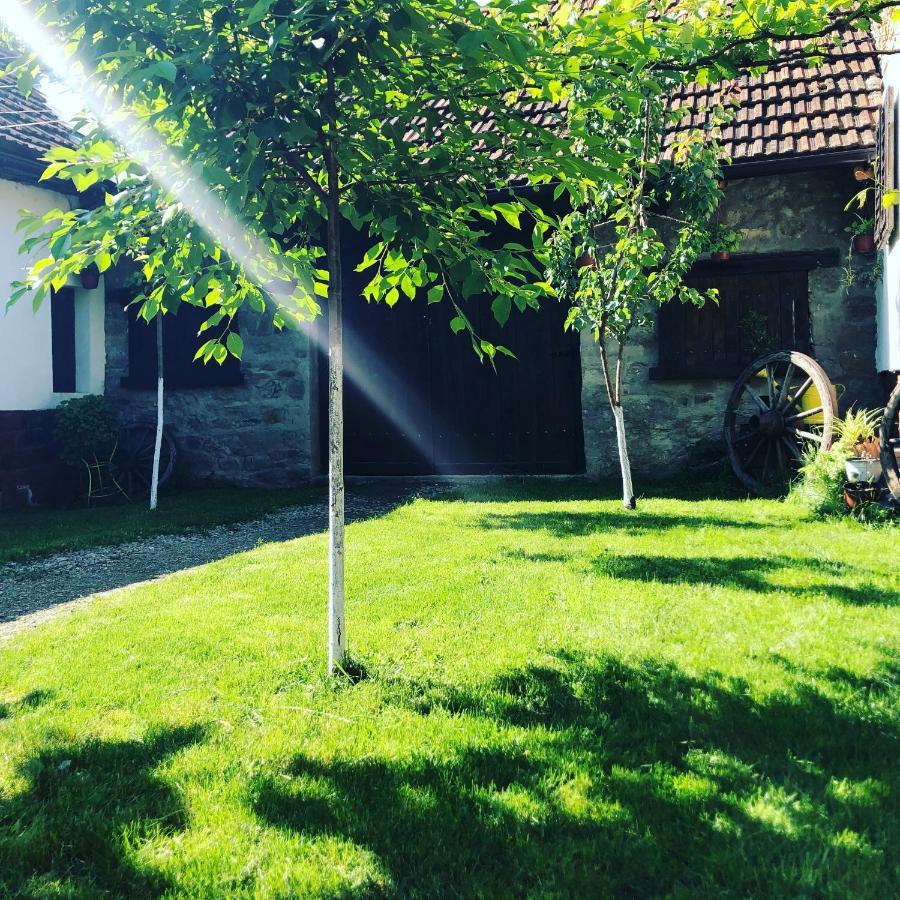 The Hunter House Villa Ciudanovita Eksteriør billede
